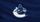 Vancouver Canucks