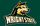 Wright State University Volleyball