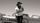 Zach Williams