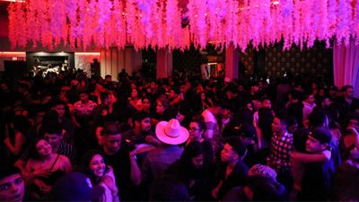 Banda World - 21+