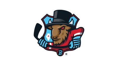 Bloomington Bison vs. Cincinnati Cyclones