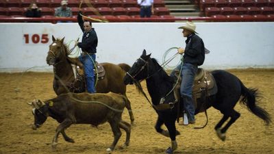 Christmas Stampede