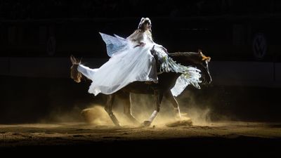 Freestyle Reining - Sun. Jan. 10 3pm