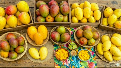 Island SPACE Mango Festival 2026