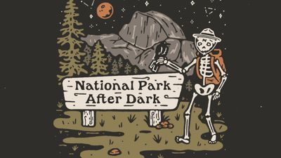 National Park After Dark: Your Neck of the Woods Tour