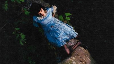 Not For Radio - A Summer in the Forest