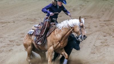 Performance Horse Showdown - Sat. Jan. 9 2pm