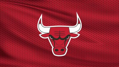 Pre-Season: Chicago Bulls v Memphis Grizzlies