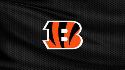 Preseason Game 2: Cincinnati Bengals v Chicago Bears