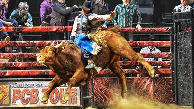 Professional Championship Bull Riders - Saturday