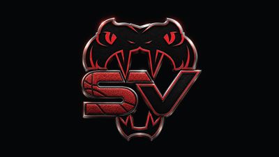 Stars Viper Cheer