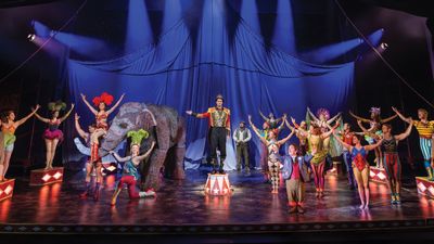 Water for Elephants (Chicago)